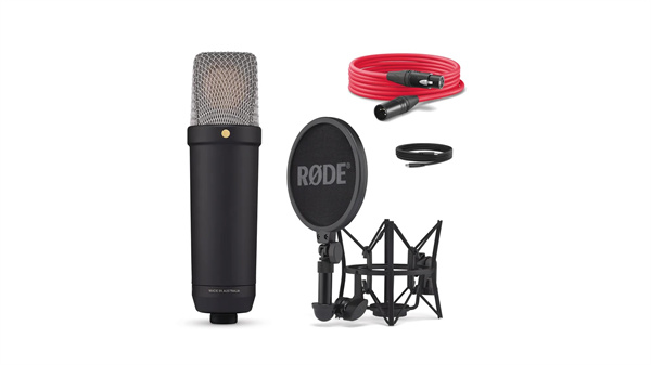 The Ultimate Studio Microphone Features and Specifications of the NT1 5th Generation_Moment(9).jpg